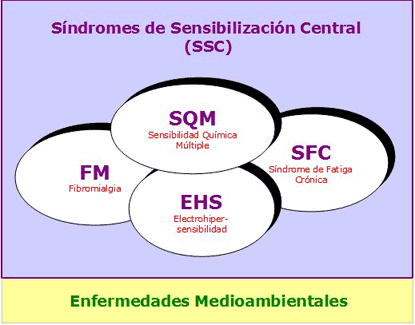 S�ndromes de sensivilizaci�n Central SSC